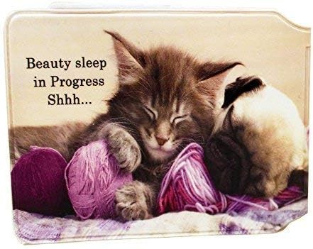 Cat and dog credit card - dog,